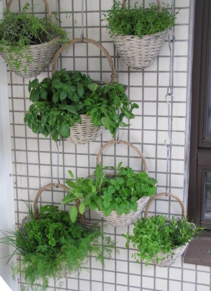 Gemüsegarten am Balkon, Vertical Gardening