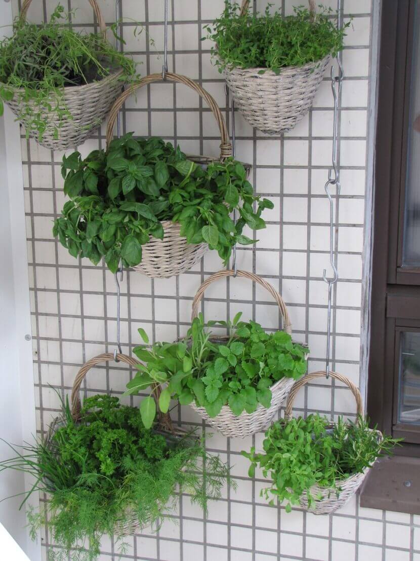 Gemüsegarten am Balkon, Vertical Gardening