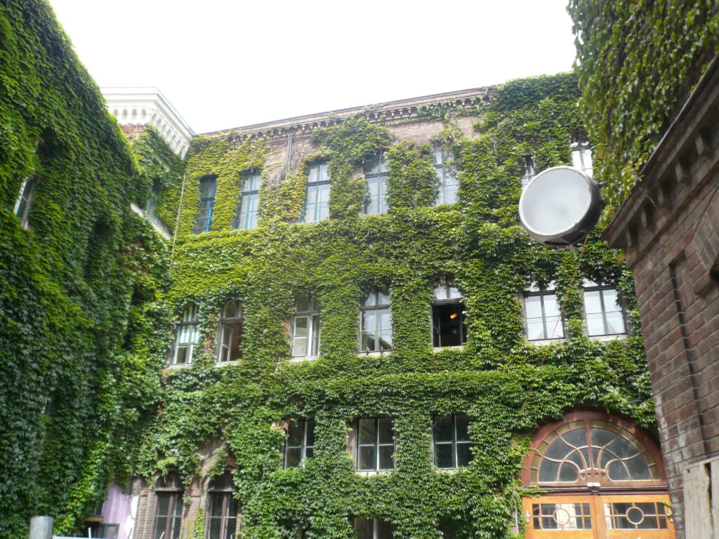 Facade greening, green facades, plants, climate, city