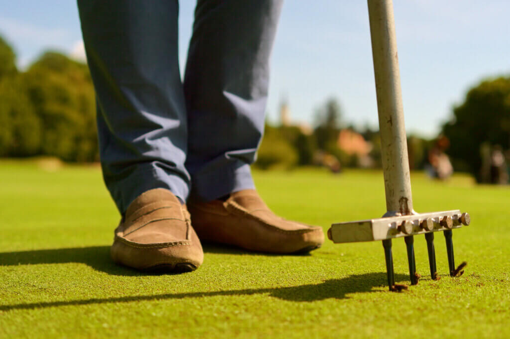 Lawn care Scarifying the lawn and aerating the lawn