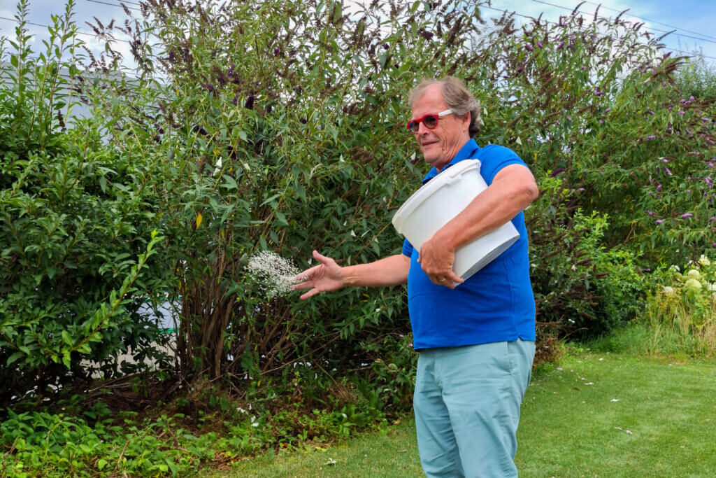 Fertiliser la pelouse pour l'entretenir