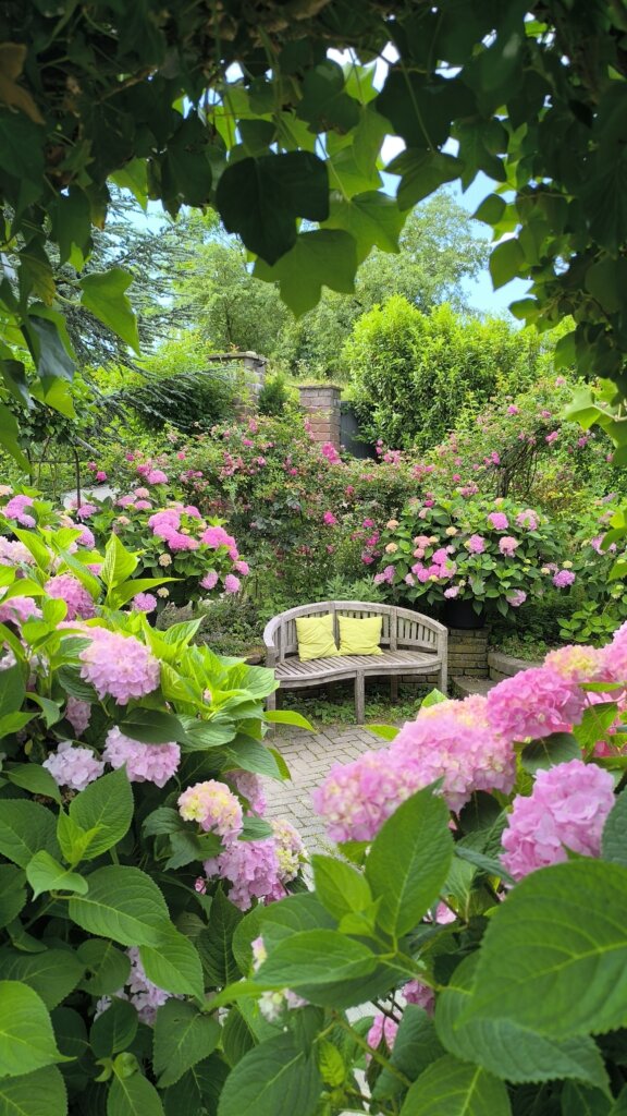 Hortensias, Abeilles et insectes, Plantes mellifères