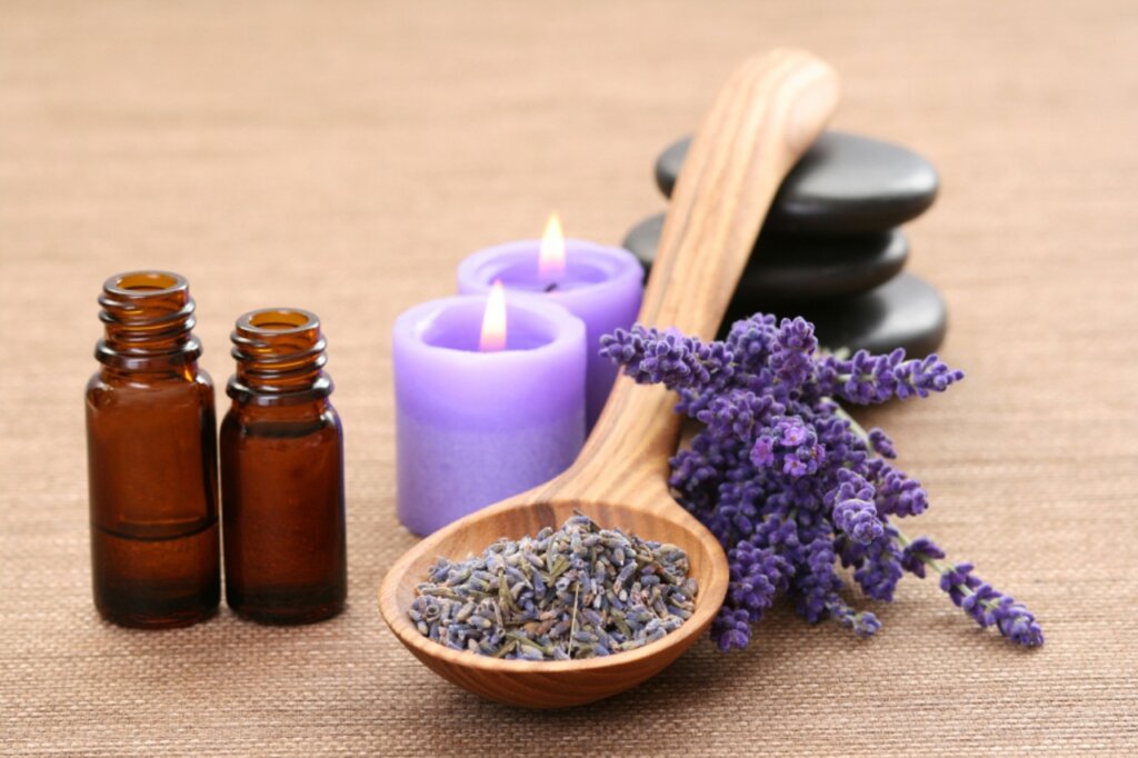 Lavendel pflegen