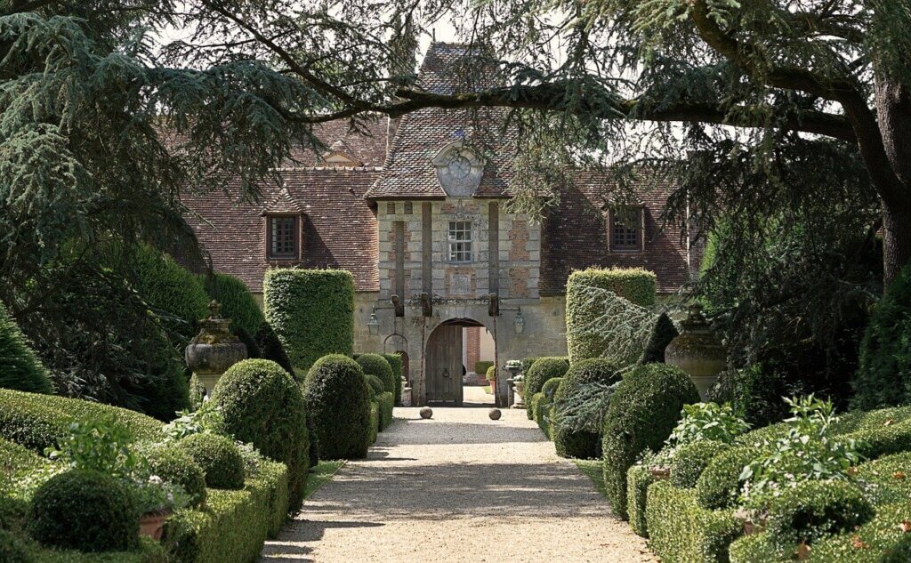 Hedge, hedge cutting, hedge plants