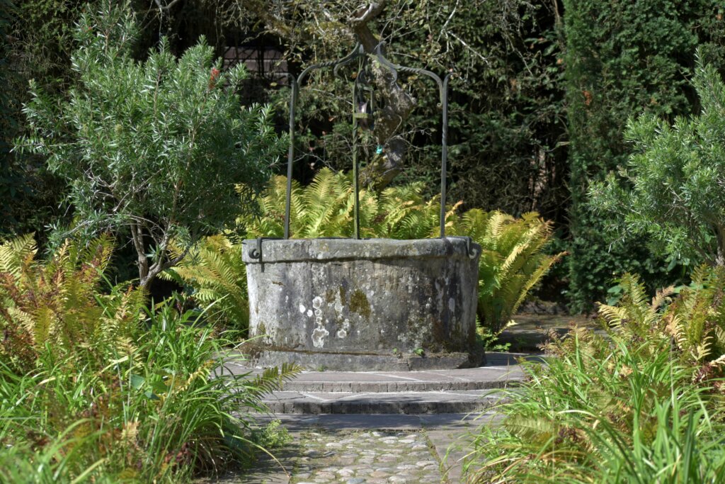 Rainwater utilization, rainwater