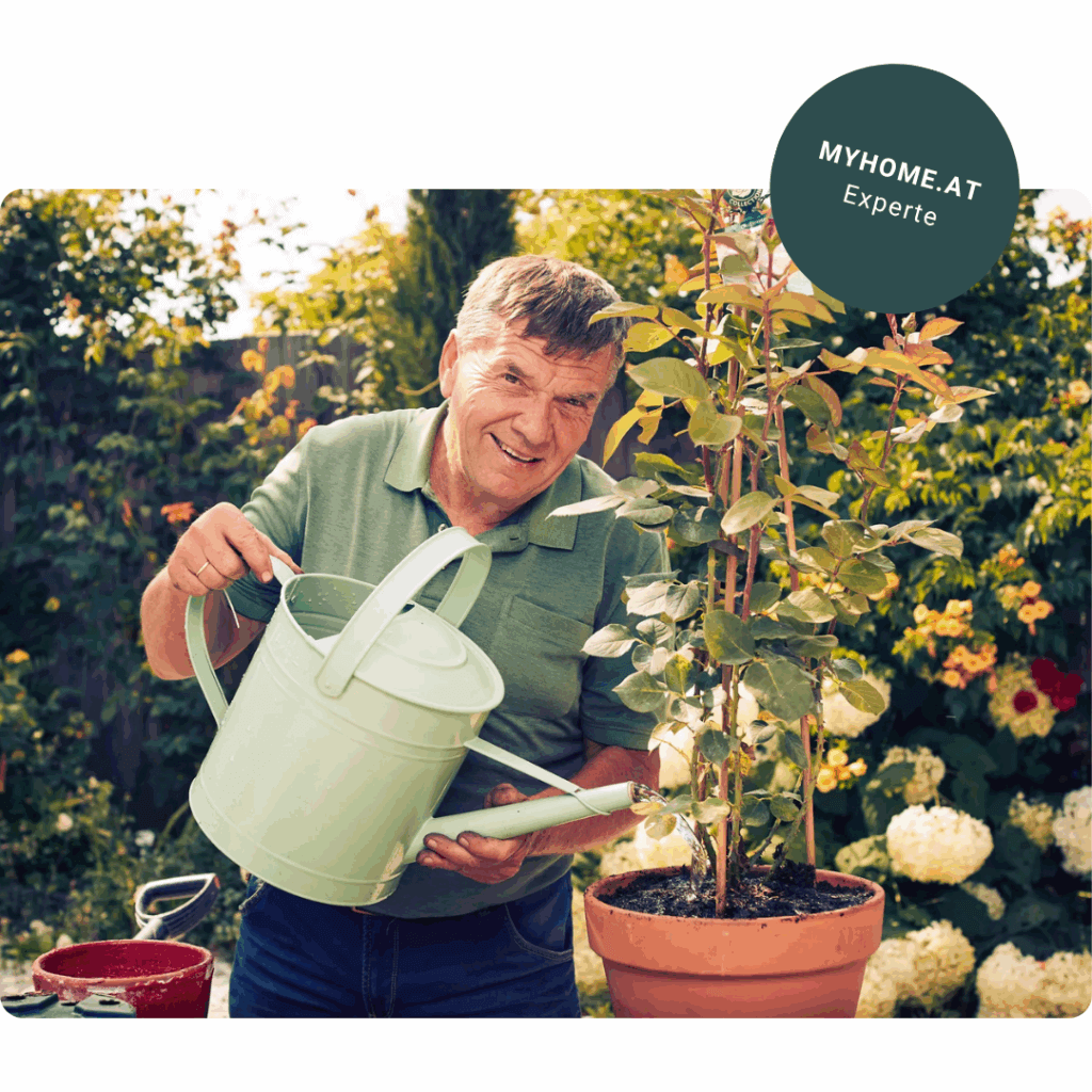 Reinhard Kittenberger, Kittenberger Erlebnisgärten, insectes et abeilles