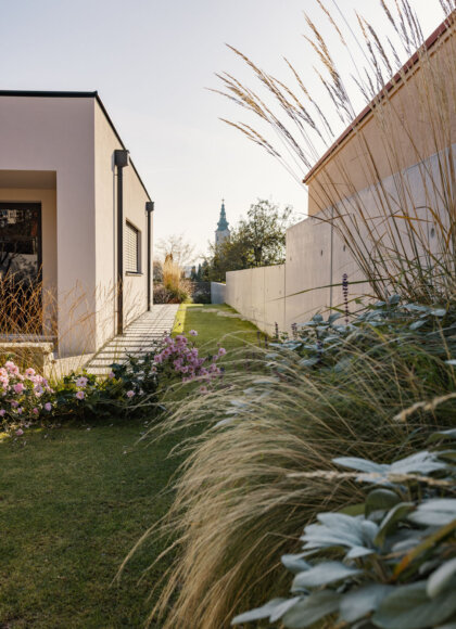 Nentwich Gartenbau Projekt (1)