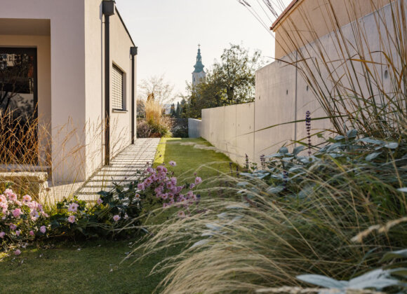 Nentwich Gartenbau Projekt (1)