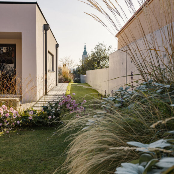 Nentwich Gartenbau Projekt (1)