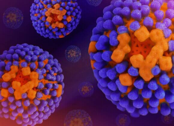 Keime_national-institute-of-allergy-and-infectious-diseases-Gc8vdk7YKJU-unsplash