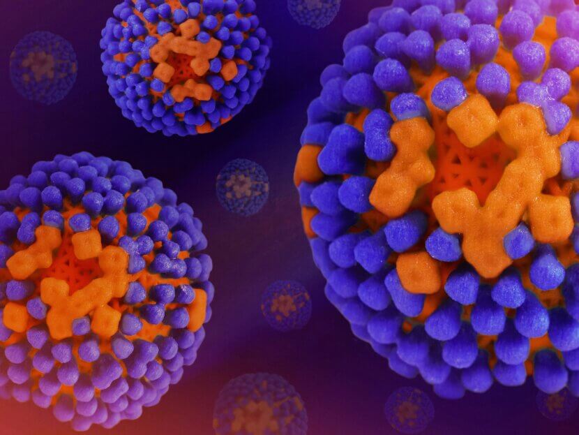 Keime_national-institute-of-allergy-and-infectious-diseases-Gc8vdk7YKJU-unsplash