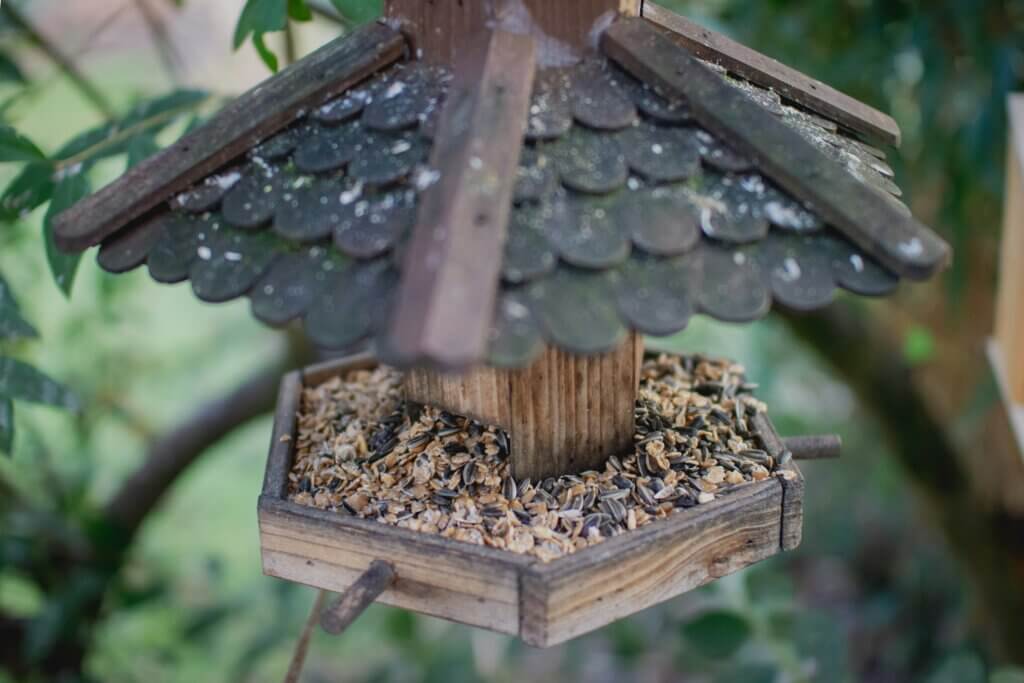 Nourrir les oiseaux en hiver, Mangeoire pour oiseaux