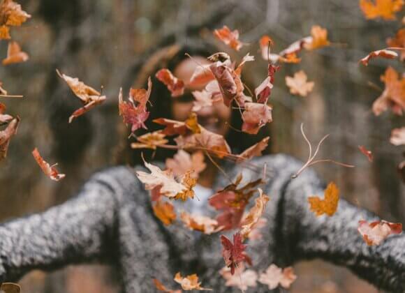 Herbstspaziergang_jakob-owens-uE_N2i6-TRM-unsplash