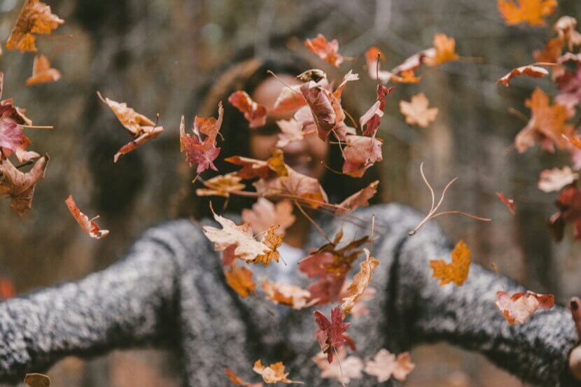 Herbstspaziergang_jakob-owens-uE_N2i6-TRM-unsplash