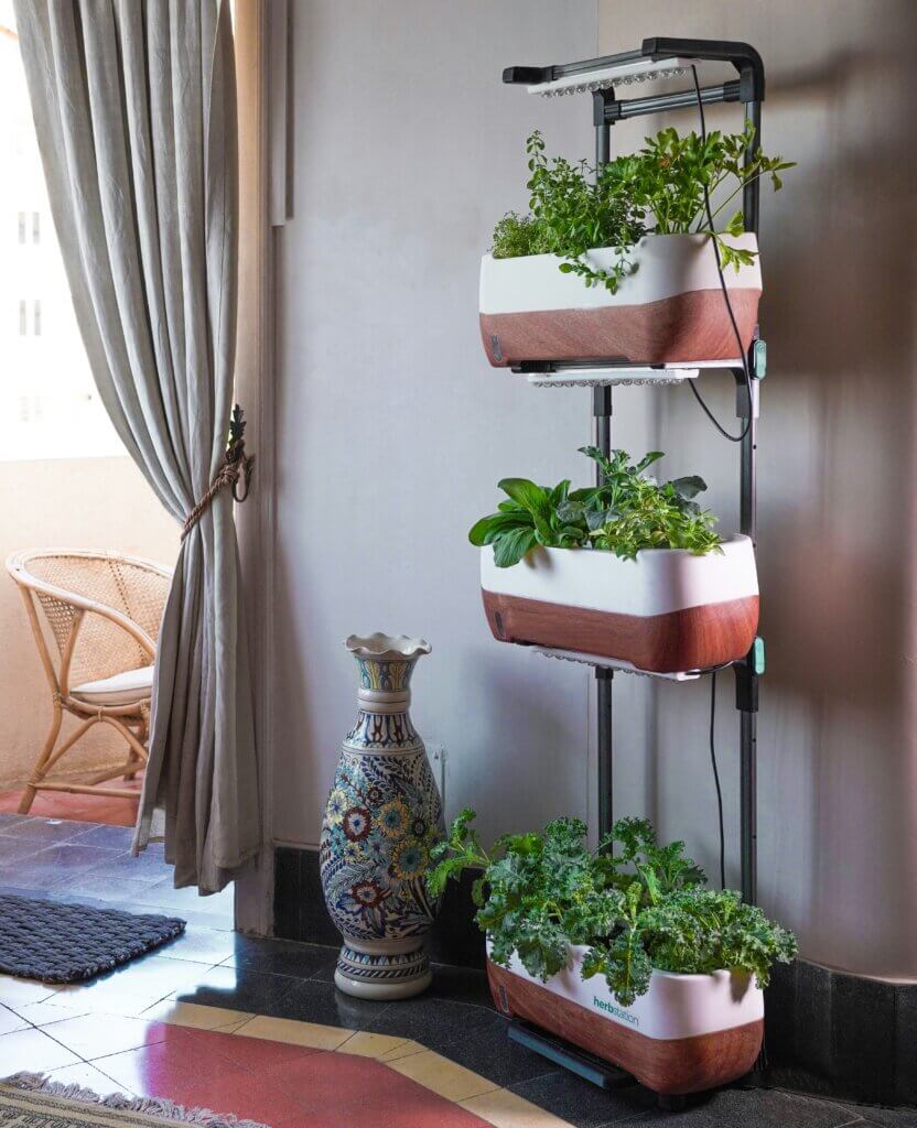 Urban Gardening, balcon intérieur, hiver