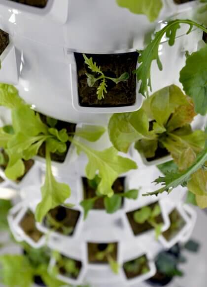 nadine-primeau-b12cYesqqa8-unsplash