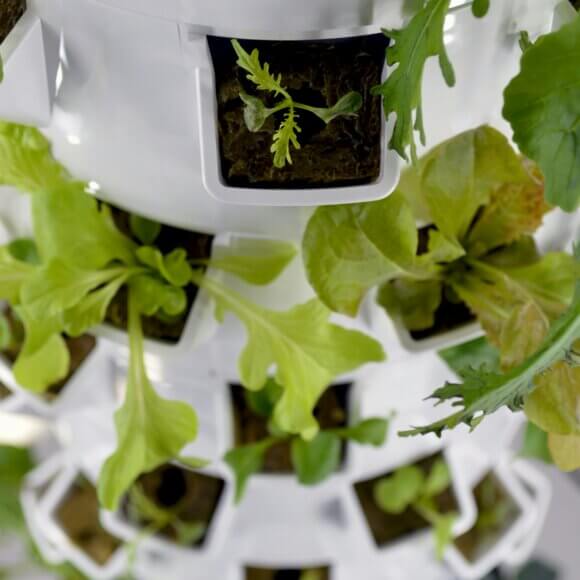 nadine-primeau-b12cYesqqa8-unsplash