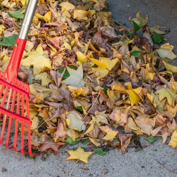 Laub rechen_Foto von Wendell Shinn auf Unsplash