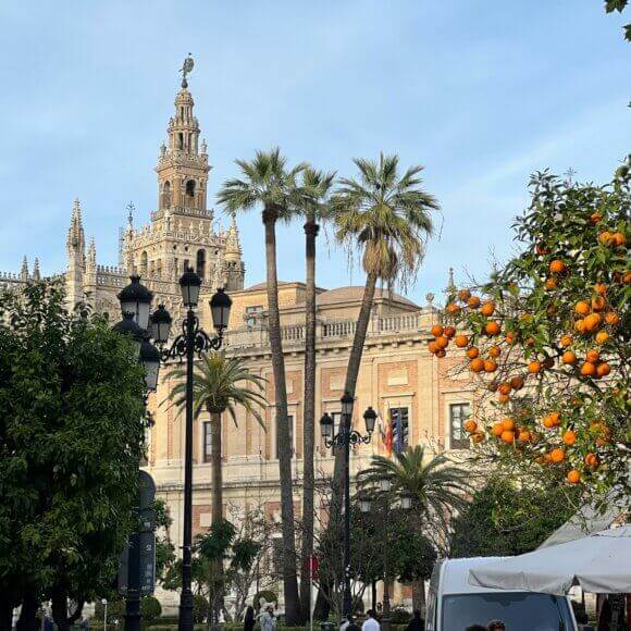 jean-luc-benazet-XvwIFxsbJJM-unsplash