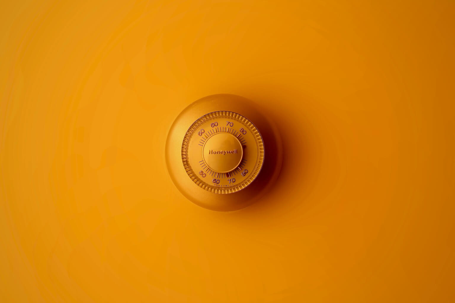 moja-msanii-vO9-gal54go-unsplash