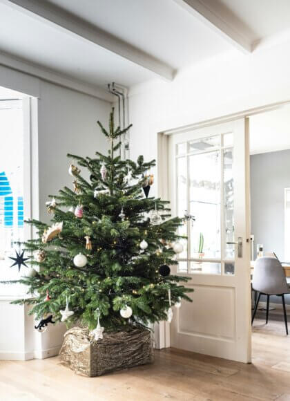 Aufmacherbild_sven-brandsma-S9zAGWOlwPI-unsplash