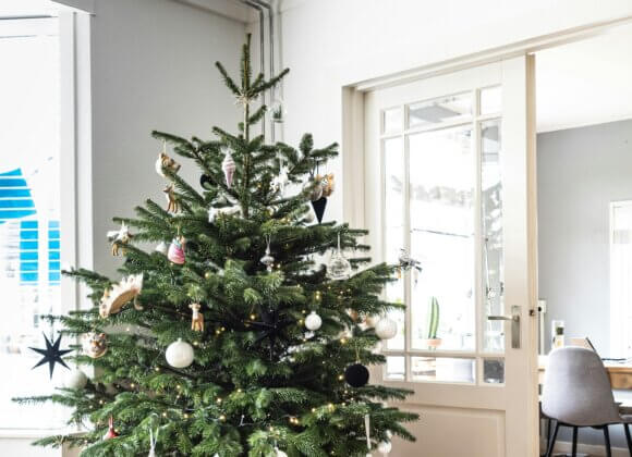 Aufmacherbild_sven-brandsma-S9zAGWOlwPI-unsplash