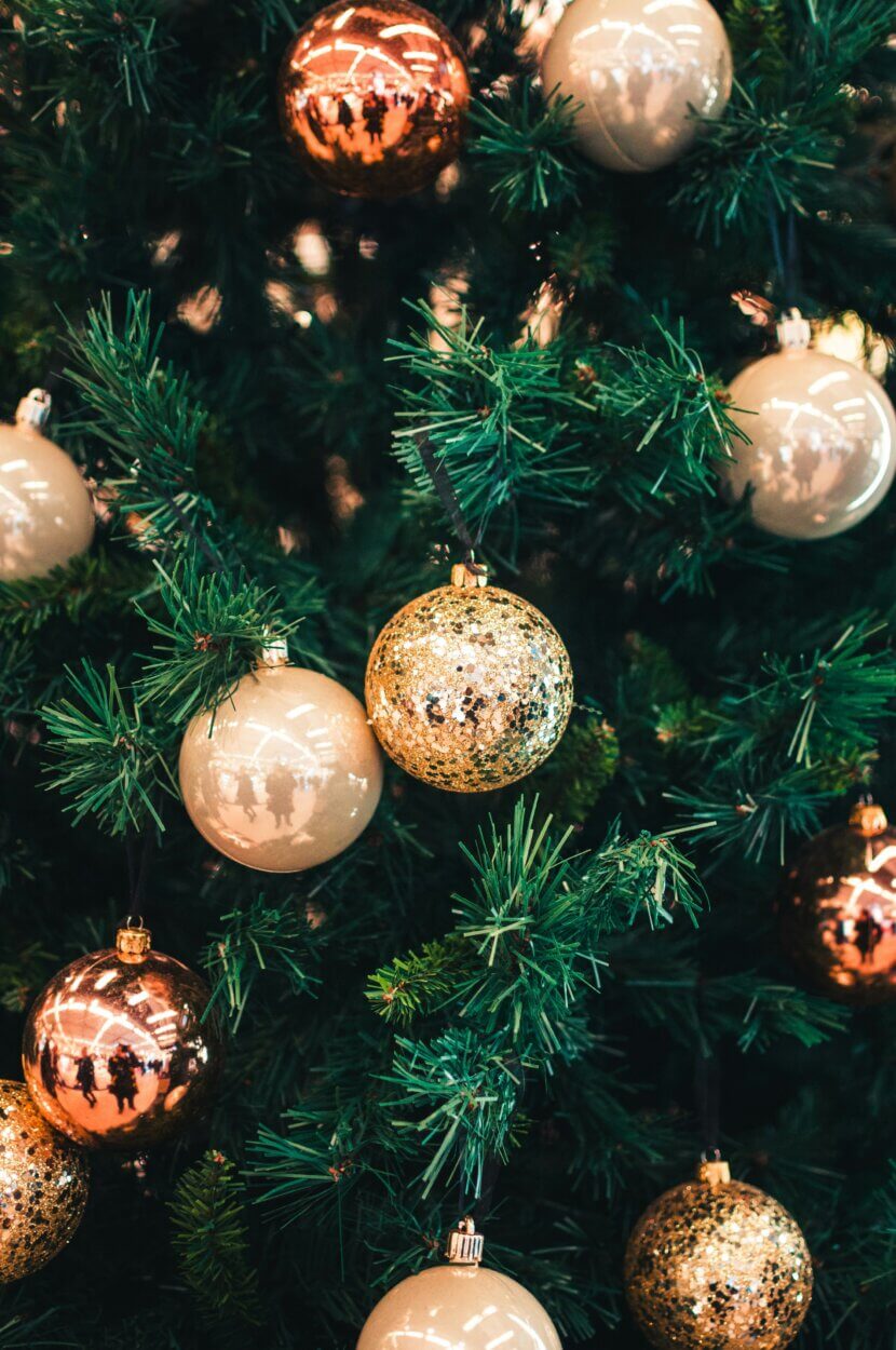 Christbaum-Upcycling: Neue Chance für Tanne, Fichte und Co. Aufmacherfoto_hert-niks-8XrYxWntkcM-unsplash