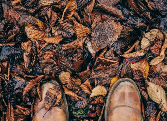 clem-onojeghuo-Yfyt6q8gjaQ-unsplash