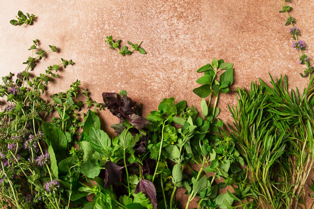 Ingrédients sains, MTC, herbes aromatiques