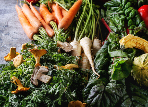 Variété de légumes de récolte d'automne