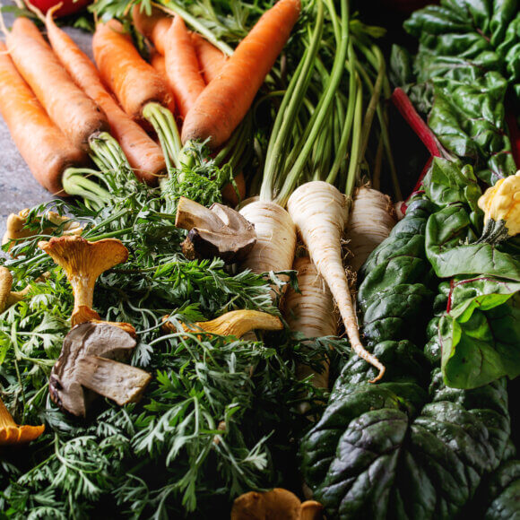 Variety of autumn harvest vegetables