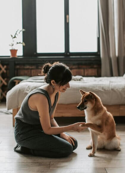 Auffmacherfoto_pexels-vlada-karpovich-6802905