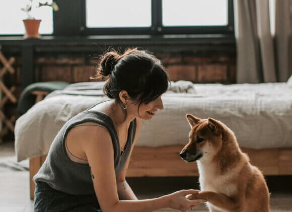 Photo de présentation_pexels-vlada-karpovich-6802905