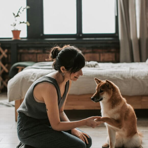 Auffmacherfoto_pexels-vlada-karpovich-6802905