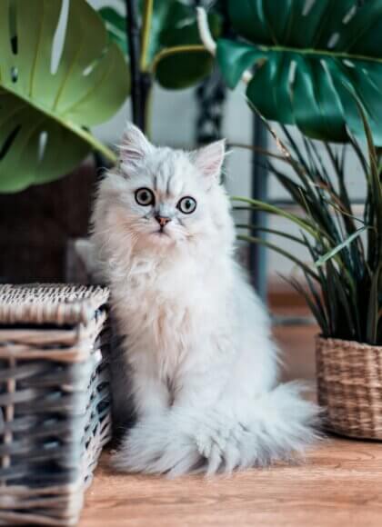 Aufmacherfoto_Foto von Rana Sawalha auf Unsplash