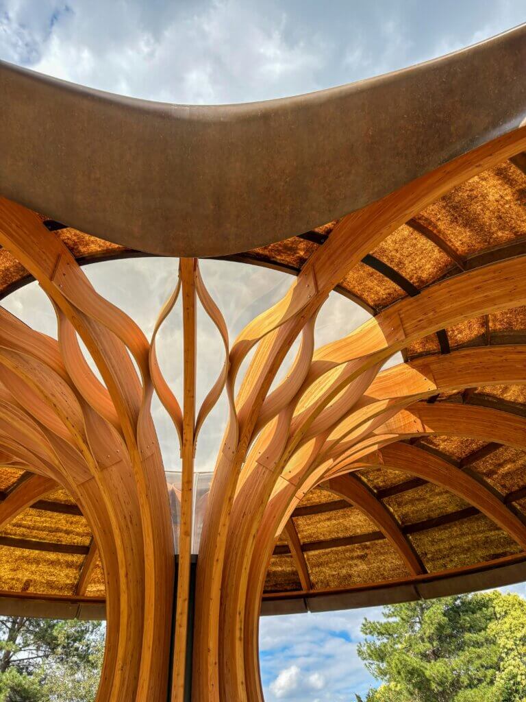 Строительство из дерева, Экологически чистые строительные материалы, Сырье