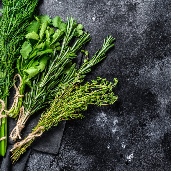 Assortment of fresh herbs coriander, rosemary, thyme, dill, pars