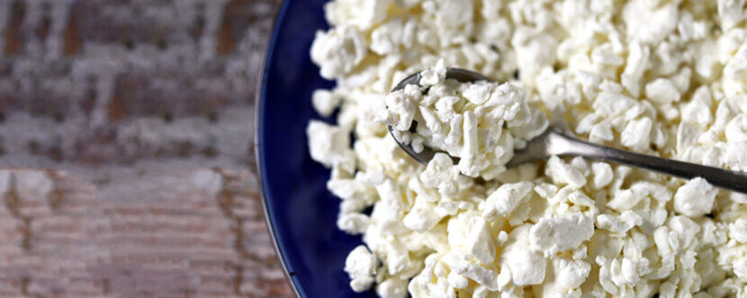 selective-focus-macro-organic-cottage-cheese-in-2026-01-09-15-07-53-utc