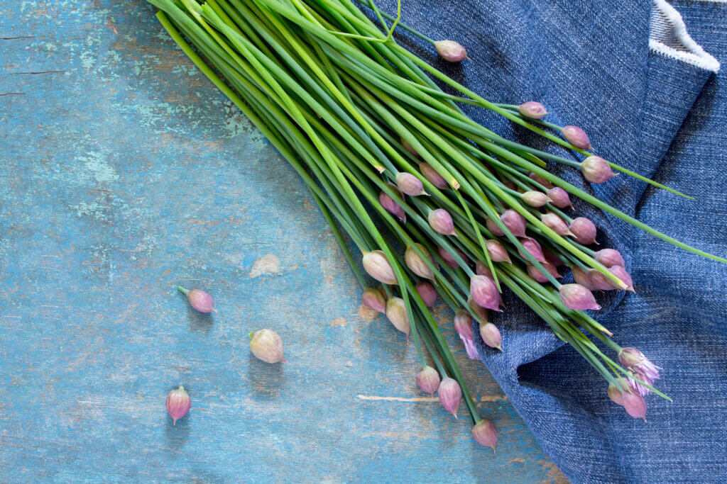 Посадка в апреле, шнитт-лук