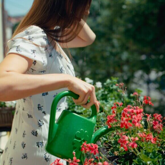 Arroser des fleurs_pexels-raymond-petrik-1448389535-27039892
