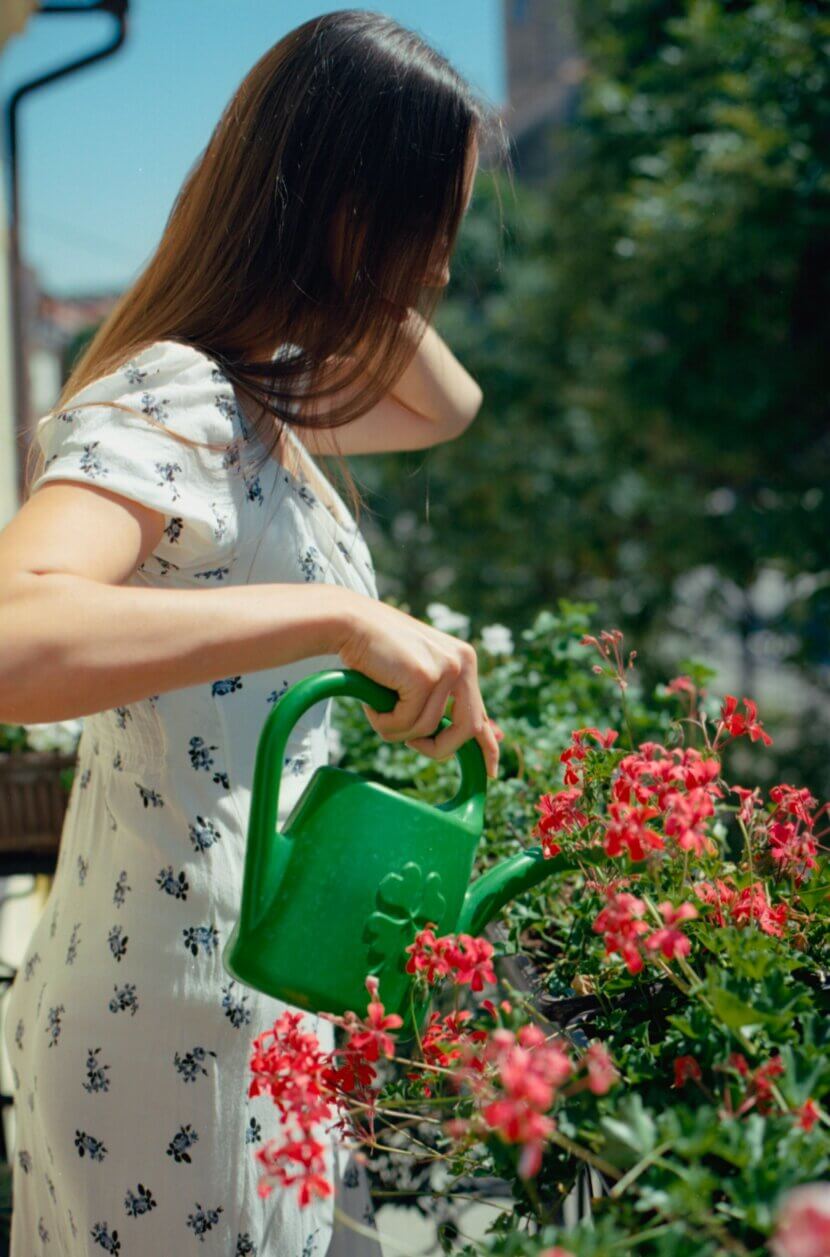 Blumen gießen_pexels-raymond-petrik-1448389535-27039892