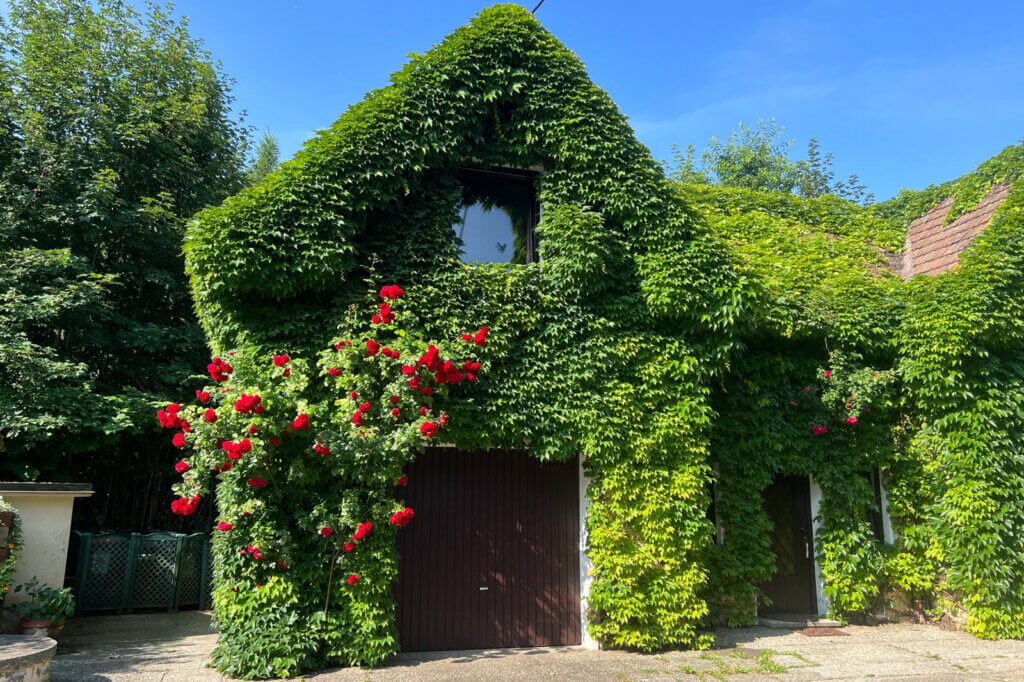 Villa „Gebo“ in Pressbaum