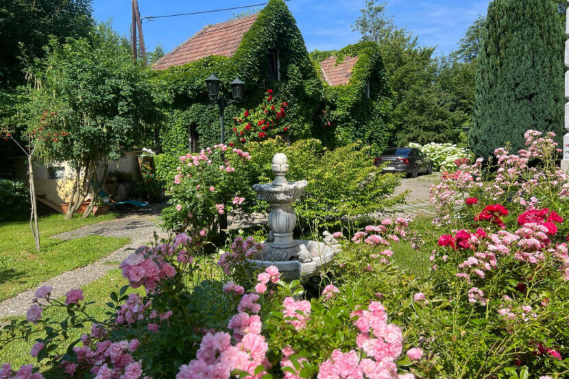 Immobilie der Woche – Villa „Gebo“ in Pressbaum Neu_3