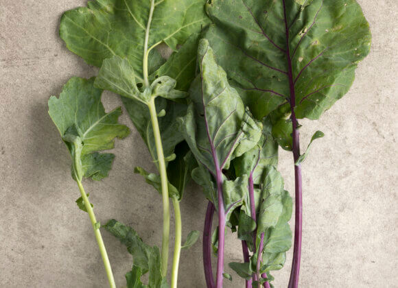 Kohlrabi-Rezepte: Vielseitig, gesund und einfach zubereitet Fresh green and purple kohlrabi
