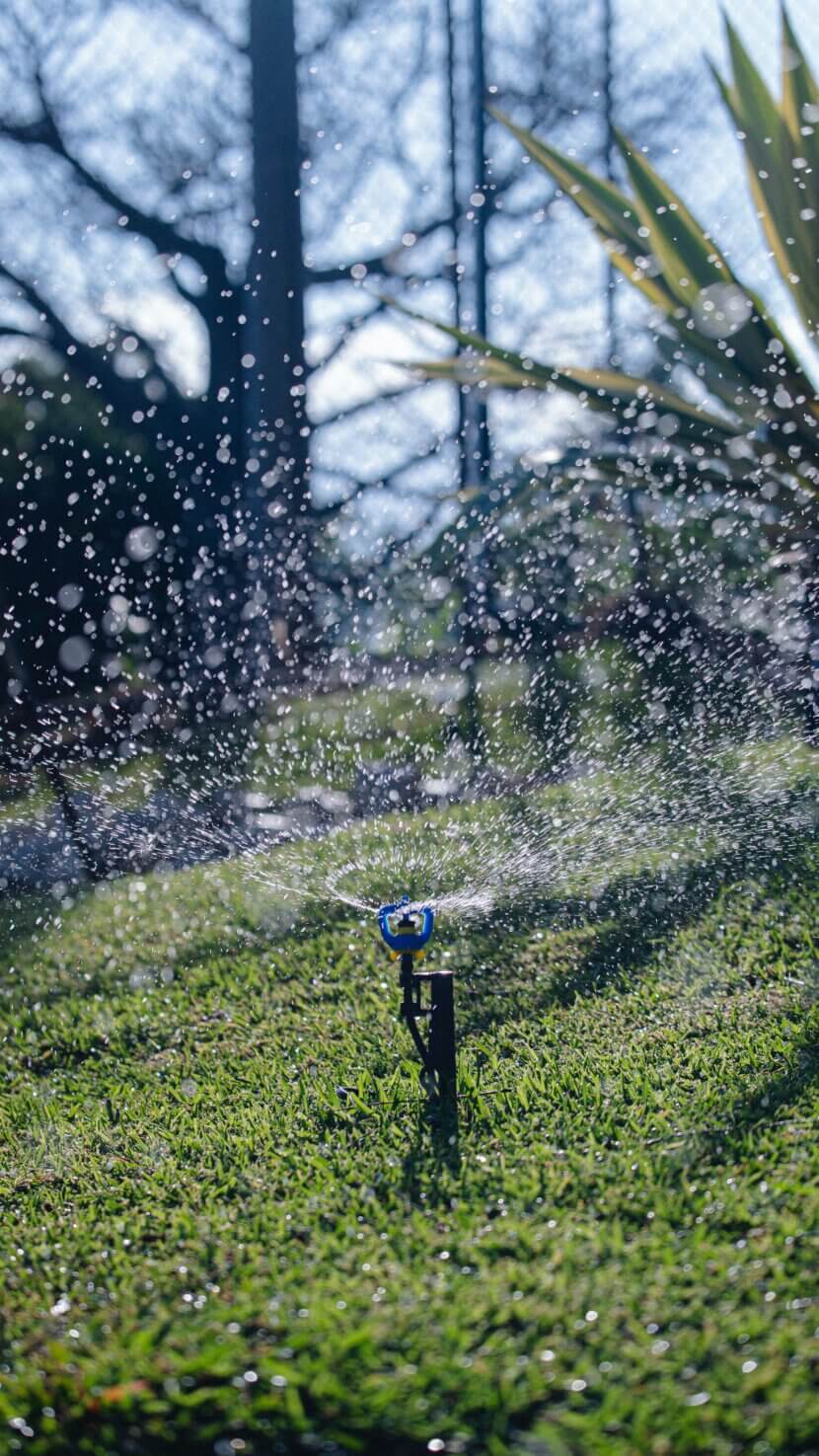 Automatische Bewässerung im Garten: Systeme im Vergleich Automatische Bewässerung Garten