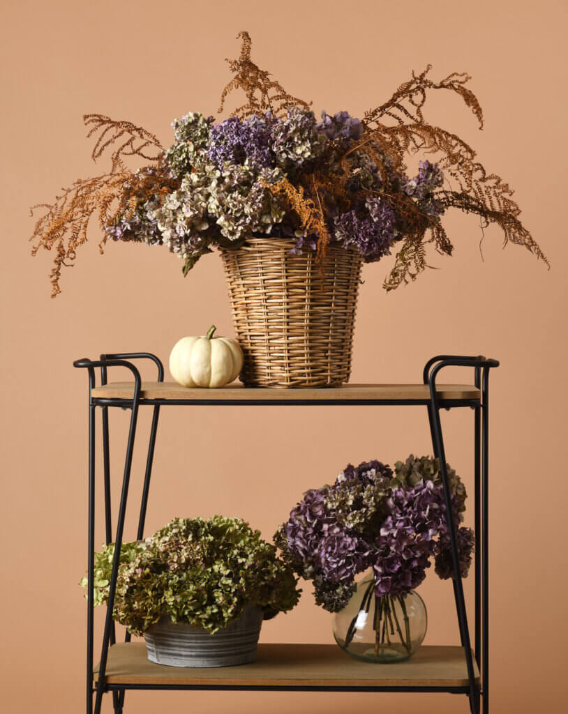 Trockenblumen, Hortensien, Tipps