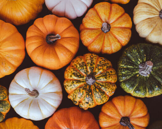 Colorful pumpkins.