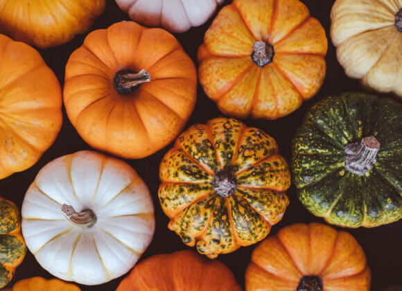 Kürbis: Der große Herbstliebling – plus 3 Kürbis-Rezepte Colorful pumpkins.