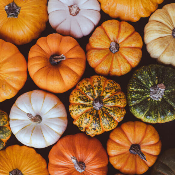Des citrouilles colorées.